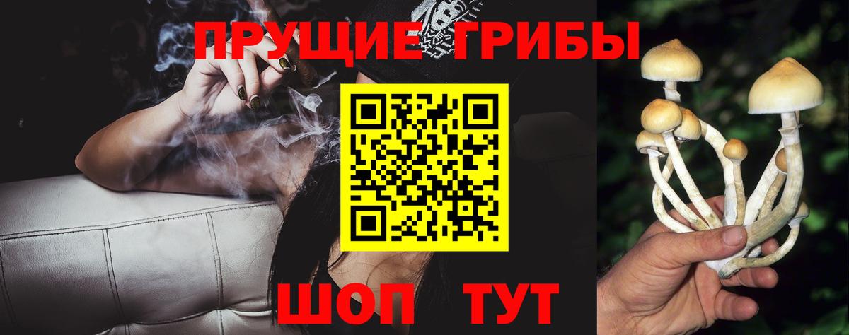 Псилоцибиновые грибы MAGIC MUSHROOMS  Вход с VPN  Псилоцибиновые грибы Cubensis  Среднеуральск 